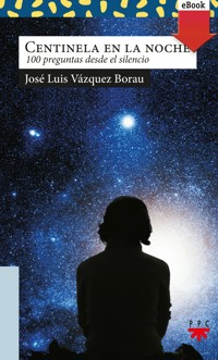 Centinela en la noche - José Luis Vázquez Borau - ebook