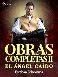 Obras Completas II El ángel caído - Esteban Echevarría - ebook