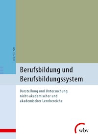 Berufsbildung und Berufsbildungssystem - Jörg-Peter Pahl - ebook