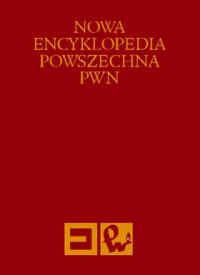 Nowa Encyklopedia Powszechna Tom 6 -  - książka