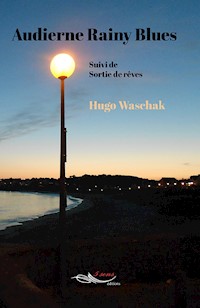 Audierne Rainy Blues - Waschak Hugo - ebook