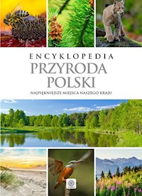 Encyklopedia Przyroda Polski -  - książka