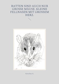 Ratten sind auch nur große Mäuse. Kleine Fellnasen mit großem Herz. - Ketschau A. - ebook