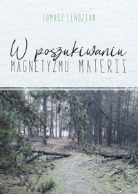 W poszukiwaniu magnetyzmu materii - Tomasz Lendzian - ebook + książka
