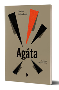 Agáta - Denisa Fulmeková - książka