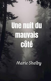 Une nuit du mauvais côté - Marie Shelby - ebook