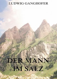 Der Mann im Salz - Ludwig Ganghofer - ebook