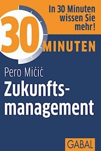 30 Minuten Zukunftsmanagement - pero mićić - ebook