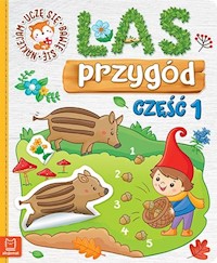 Las przygód Uczę się bawię się naklejam Część 1 -  - książka