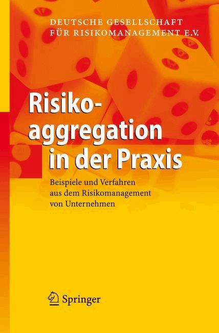 Risikoaggregation in der Praxis