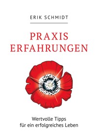 Praxis Erfahrungen - Erik Schmidt - ebook