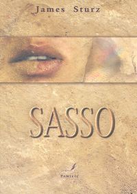 Sasso - James Sturz - ebook