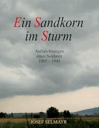 Ein Sandkorn im Sturm - Josef Selmayr - ebook