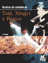 Técnicas de combate - Lu Shengli - ebook