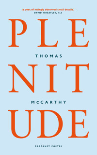 Plenitude - Thomas McCarthy - ebook