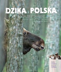 Dzika Polska - Tomasz Kłosowski - książka