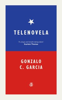 Telenovela - Gonzalo Garcia - ebook