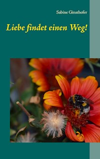Liebe findet einen Weg! - Sabine Ginsthofer - ebook