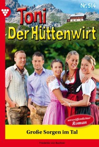 Große Sorgen im Tal - Friederike von Buchner - ebook
