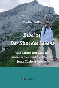 Bibel 21 - Der Sinn des Lebens - Martin Fiedler - ebook