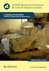 Manejo de maquinaria de corte de bloques de piedra. IEXD0108 - Encarnación López Béjar - ebook