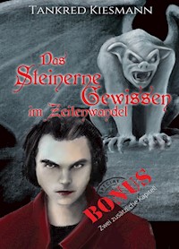 Das steinerne Gewissen im Zeitenwandel - Tankred Kiesmann - ebook