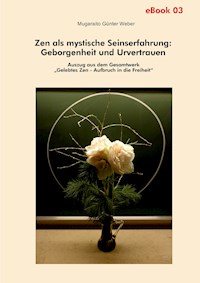 Zen als mystische Seinserfahrung: Geborgenheit und Urvertrauen - Mugaraito Günter Weber - ebook