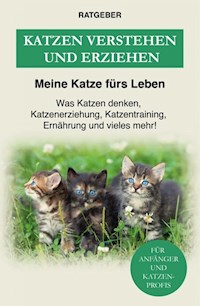 Katzen verstehen und erziehen - Meine Katze fürs Leben Ratgeber - ebook