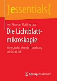 Die Lichtblattmikroskopie - Rolf Theodor Borlinghaus - ebook