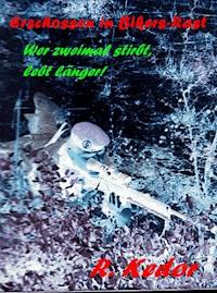 Erschossen in Bikers-Rast - Roman Kedor - ebook