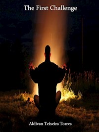 The First Challenge - Aldivan Teixeira Tôrres - ebook