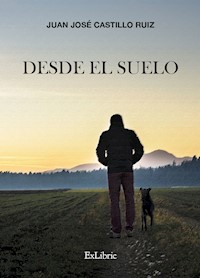 Desde el suelo - Juan José Castillo Ruiz - ebook