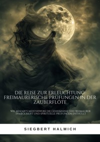 Die Reise zur Erleuchtung  Freimaurerische Prüfungen in der Zauberflöte - Siegbert Halmich - ebook