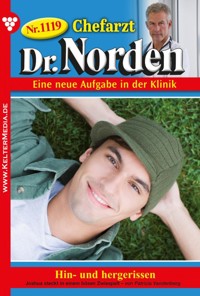 Hin- und hergerissen - Vandenberg Patricia - ebook