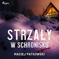 Strzały w schronisku - Patkowski Maciej - audiobook