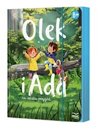 Olek i Ada na szlaku przygód Sześciolatek Poziom B+ - Fabiszewska Iwona, Wilk Klaudia, Żaba-Żabińska Wiesława - książka