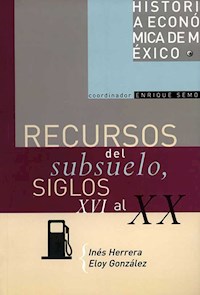 Recursos del subsuelo, siglos XVI al XX - Inés Herrera - ebook