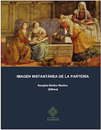 Imagen instantánea de la partería -  - ebook