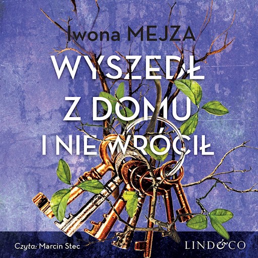 Okładka książki Wyszedł z domu i nie wrócił