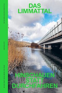 Das Limmattal - Helene Arnet - ebook