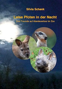 Leise Pfoten in der Nacht - Silvia Schenk - ebook