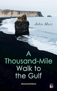 A Thousand-Mile Walk to the Gulf (Illustrated Edition) - John Muir - ebook