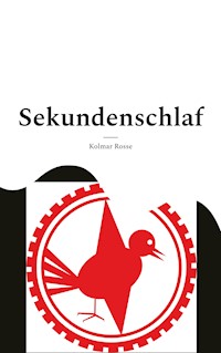 Sekundenschlaf - Kolmar Rosse - ebook