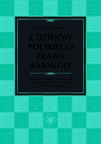 Z dziejów polskiego prawa karnego. Prawo karne i nauka prawa karnego na ziemiach polskich w XIX wiek - Wąsowicz Marek - książka