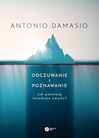 Odczuwanie i poznawanie - Damasio Antonio - książka