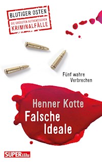 Falsche Ideale - Henner Kotte - ebook