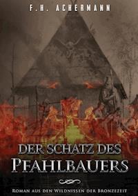 Der Schatz des Pfahlbauers - F.H. Achermann - ebook