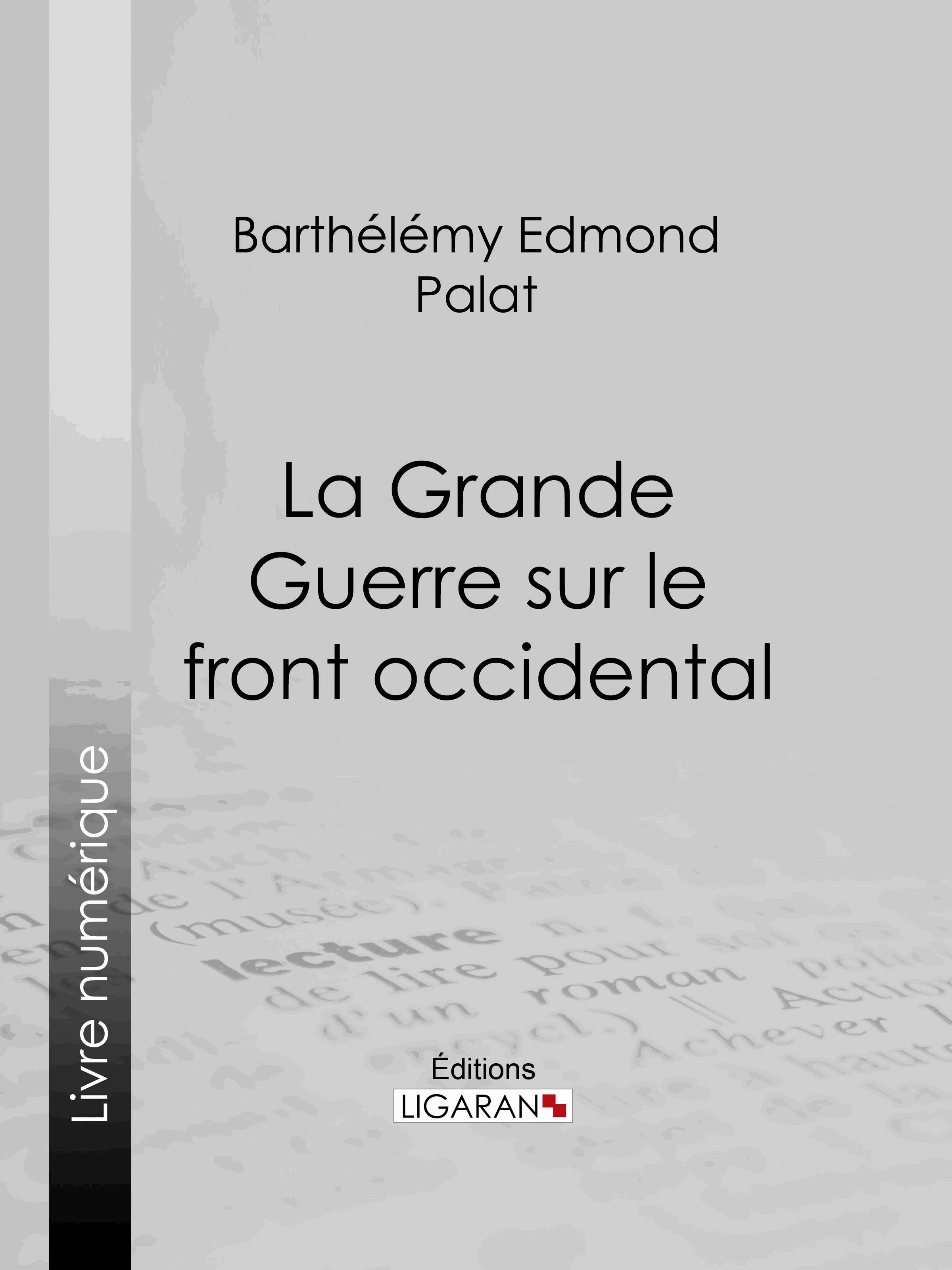 La Grande Guerre sur le front occidental