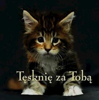 Ziarenka 17 Tęsknię za Tobą - Beńko Magdalena - książka