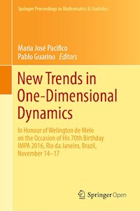 New Trends in One-Dimensional Dynamics -  - ebook
